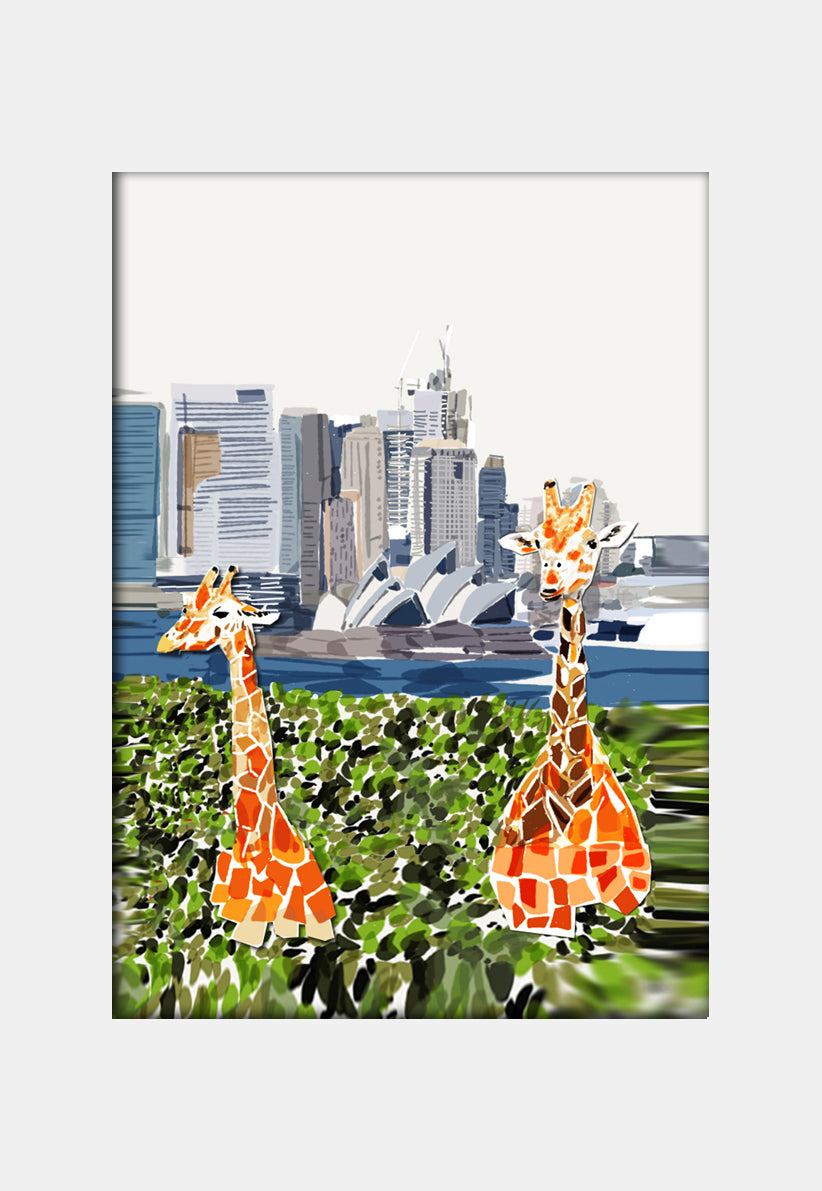 Print (Iconic) - Sydney Taronga Zoo Giraffes