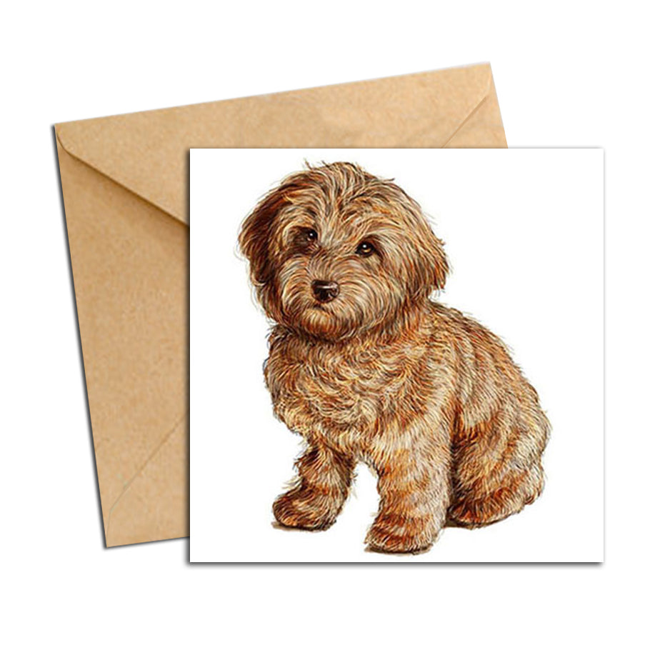 Card - Dog - Labradoodle puppy