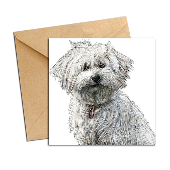 Card - Dog - Bichon White
